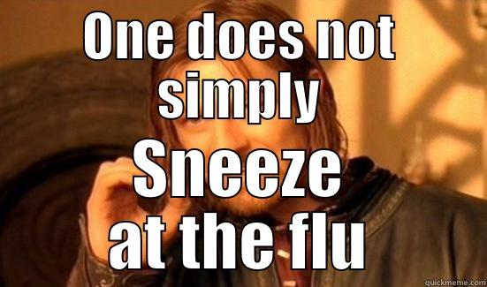 ONE DOES NOT SIMPLY SNEEZE AT THE FLU Boromir