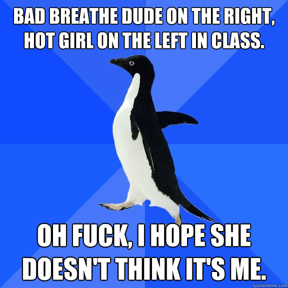 Bad breathe dude on the right, hot girl on the left in class. Oh fuck, I hope she doesn't think it's me.  Socially Awkward Penguin