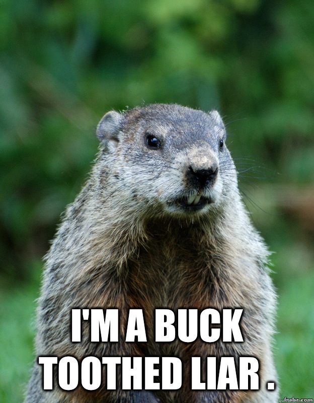  I'm a buck toothed liar .  Groundhog Day