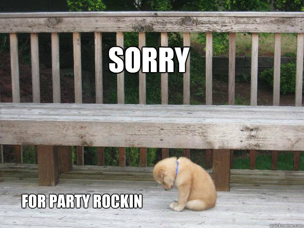 Sorry for party rockin  Sorry