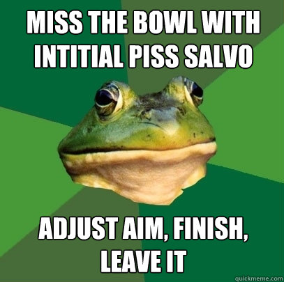 Miss the bowl with intitial piss salvo Adjust aim, finish, leave it  Foul Bachelor Frog