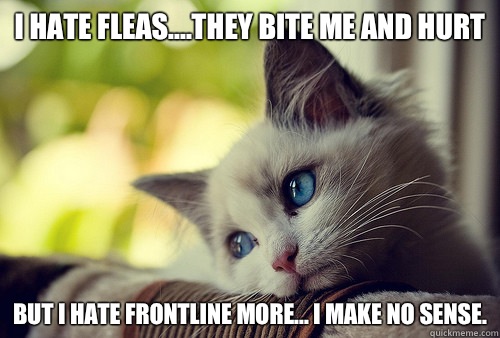 I hate fleas....they bite me and hurt But I hate Frontline more... I make no sense.  First World Problems Cat