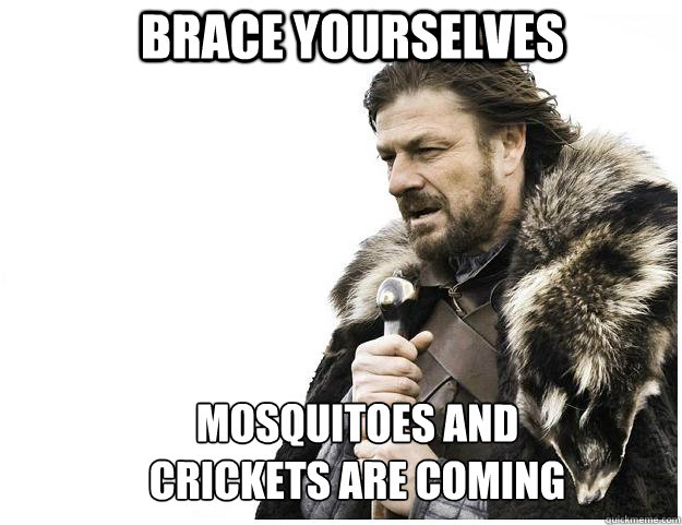 Brace yourselves MOSQUITOES AND CRICKETS ARE COMING  Imminent Ned