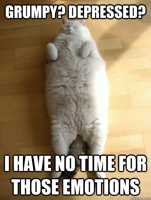 Grumpy? Depressed? I have no time for those emotions  