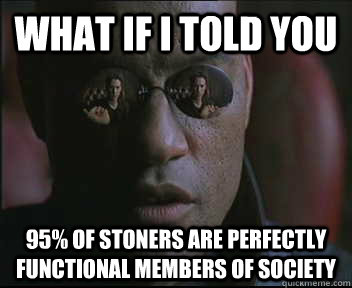 What if I told you 95% of stoners are perfectly functional members of society  Morpheus SC