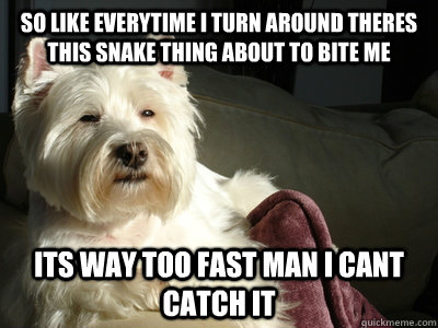So like everytime i turn around theres this snake thing about to bite me Its way too fast man i cant catch it  High Dog