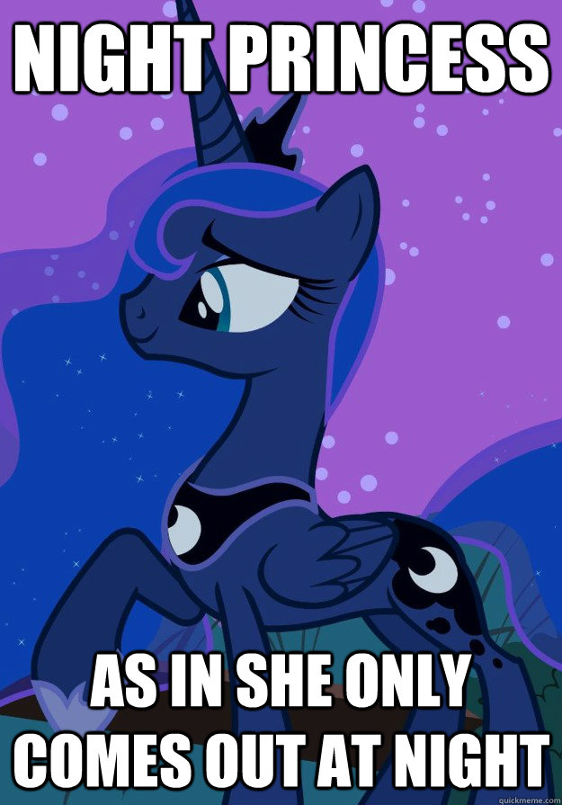 NIGHT PRINCESS AS IN SHE ONLY COMES OUT AT NIGHT  Princess Luna