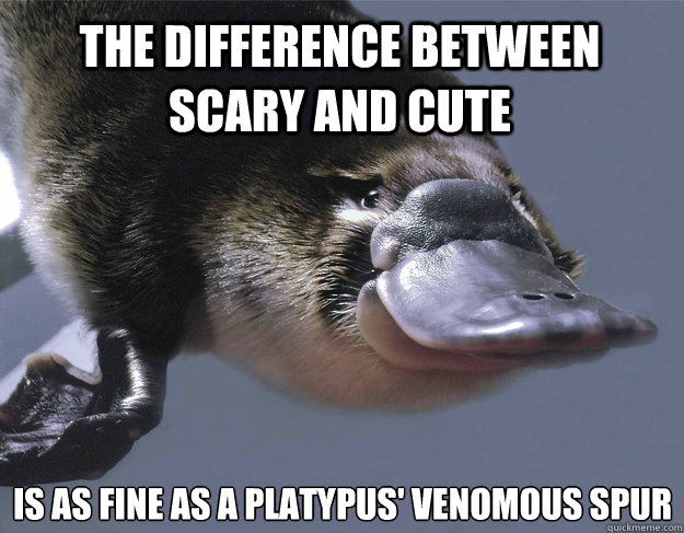 The difference between scary and cute  is as fine as a platypus' venomous spur
  