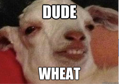 DUDE WHEAT  10 Goat