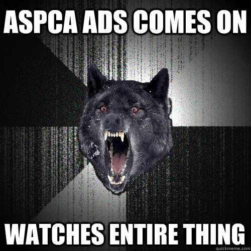ASPCA ads comes on watches entire thing  Insanity Wolf