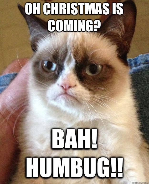 Oh Christmas is coming? Bah! Humbug!!  Grumpy Cat