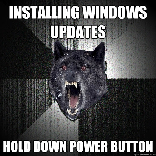 installing windows updates hold down power button  Insanity Wolf