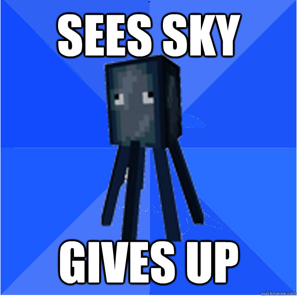 Sees Sky gives up  Socially Awkward Squid