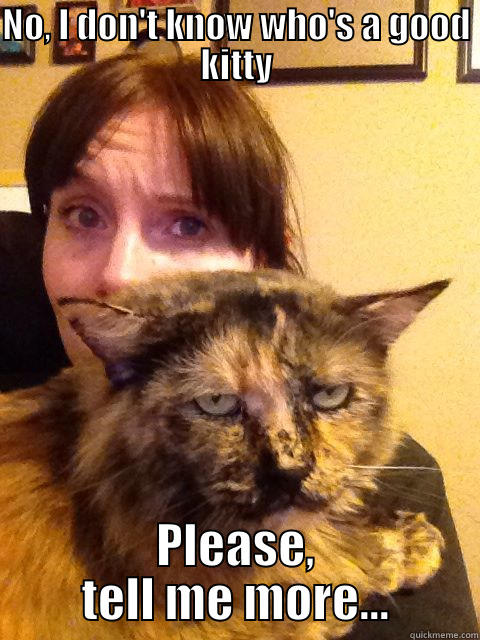NO, I DON'T KNOW WHO'S A GOOD KITTY PLEASE, TELL ME MORE... Misc