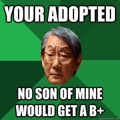 Your adopted No son of mine would get a b+  High Expectations Asian Father