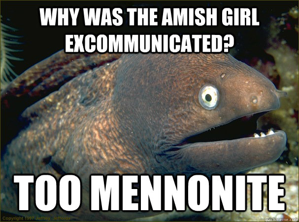 why was the amish girl excommunicated? too mennonite  Bad Joke Eel