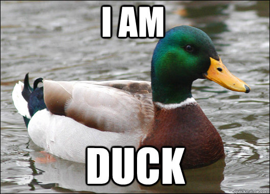 I AM  DUCK  Actual Advice Mallard