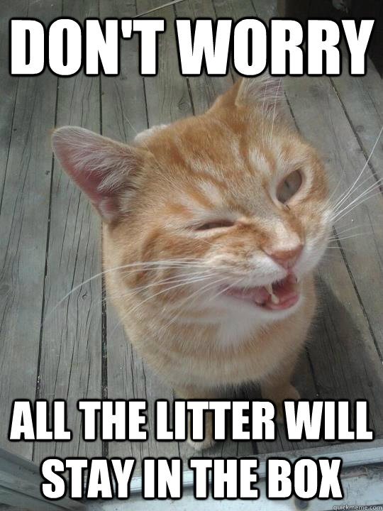 DON'T WORRY all the litter will stay in the box  Sarcasm Cat