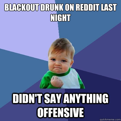 blackout drunk on reddit last night didn't say anything offensive - blackout drunk on reddit last night didn't say anything offensive  Success Kid