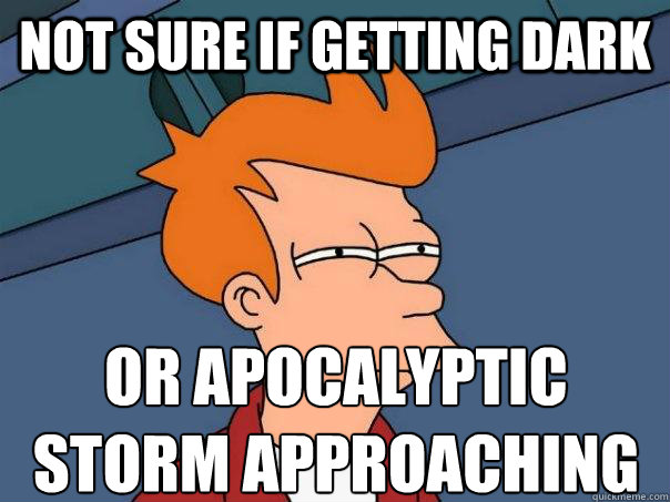 Not sure if getting dark or apocalyptic 
storm approaching  Futurama Fry