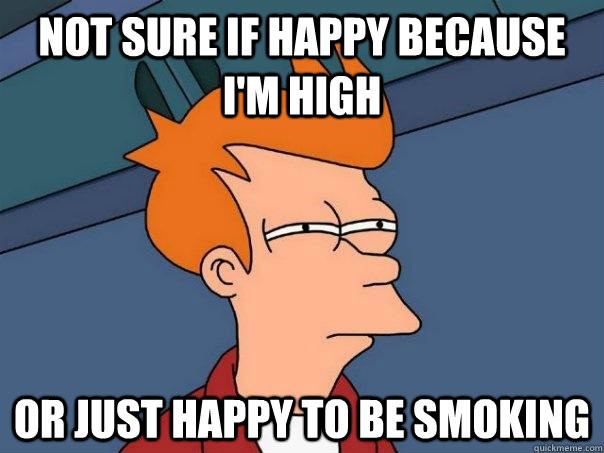 Not sure if happy because I'm high Or just happy to be smoking - Not sure if happy because I'm high Or just happy to be smoking  Futurama Fry