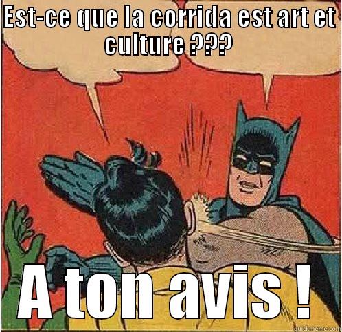 EST-CE QUE LA CORRIDA EST ART ET CULTURE ??? A TON AVIS ! Batman Slapping Robin