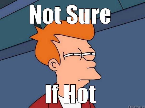NOT SURE IF HOT Futurama Fry