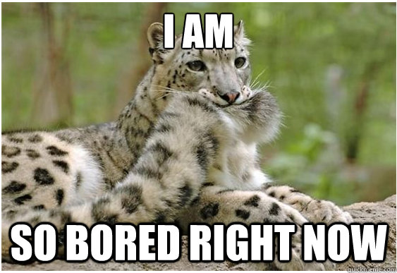 I am so bored right now - I am so bored right now  Bored Cheetah