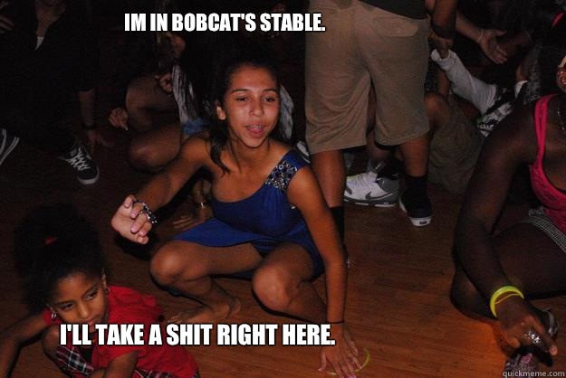Im in Bobcat's stable. I'll take a shit right here.   Meme