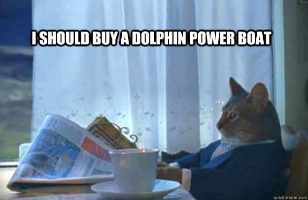 I should buy a dolphin power boat  Sophisticated Cat