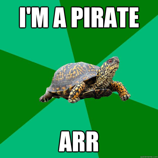 i'm a pirate arr - i'm a pirate arr  Torrenting Turtle