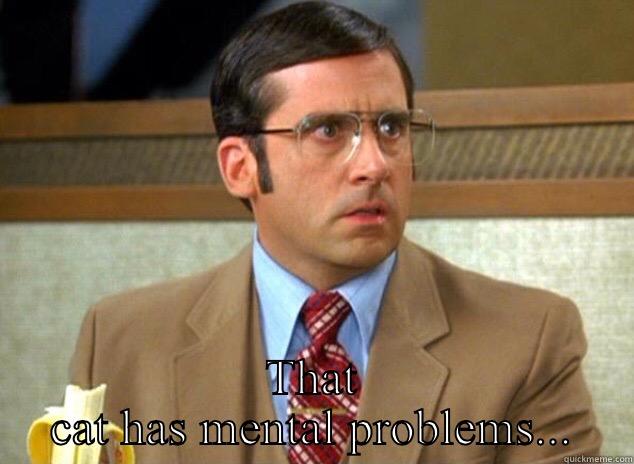  THAT CAT HAS MENTAL PROBLEMS... Brick Tamland