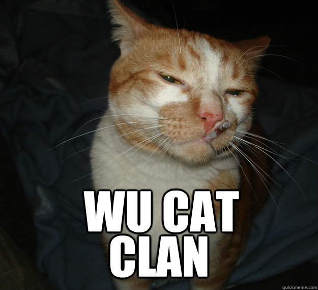 Wu Cat CLAN  Cool Cat Craig