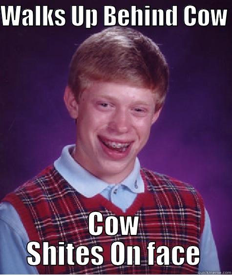 WALKS UP BEHIND COW COW SHITES ON FACE Bad Luck Brian