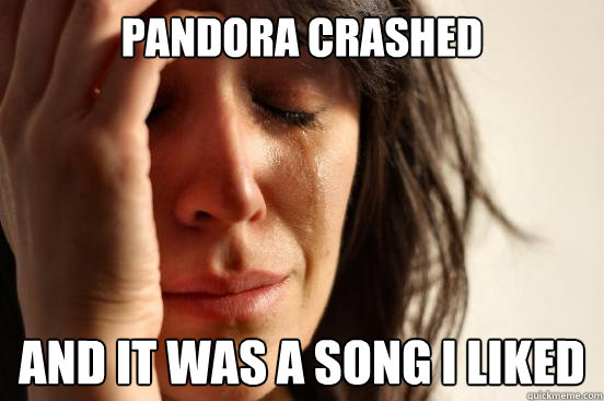 pandora crashed and it was a song i liked  First World Problems