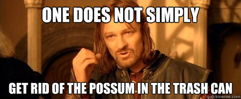 One does not simply Get rid of the possum in the trash can  One Does Not Simply