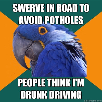 swerve in road to avoid potholes people think i'm 
drunk driving - swerve in road to avoid potholes people think i'm 
drunk driving  Paranoid Parrot