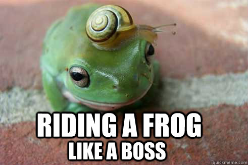 Riding a frog LIKE A BOSS - Riding a frog LIKE A BOSS  RIDING A FROG