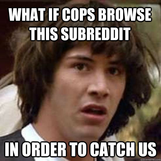 what if cops browse this subreddit  in order to catch us  conspiracy keanu