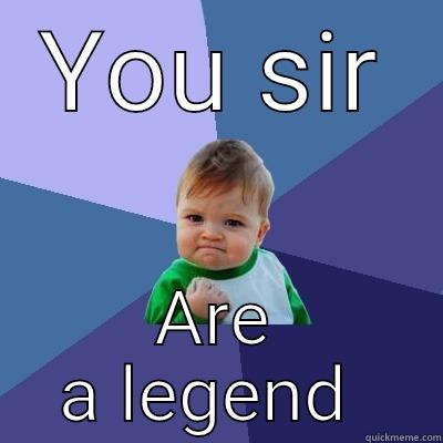 YOU SIR ARE A LEGEND  Success Kid