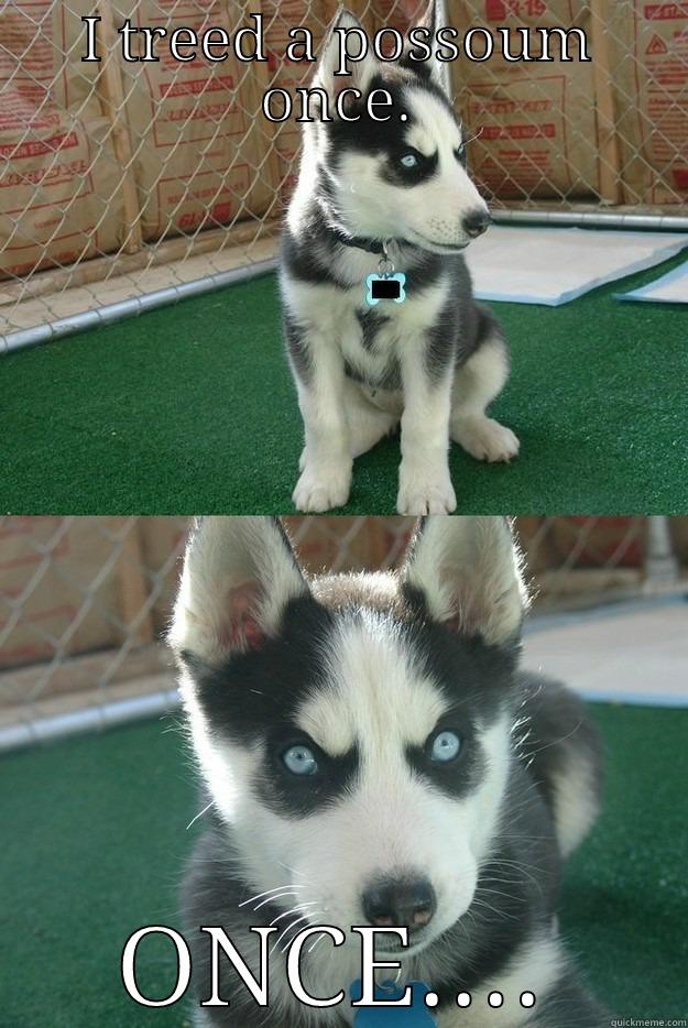 I TREED A POSSOUM ONCE. ONCE.... Insanity puppy