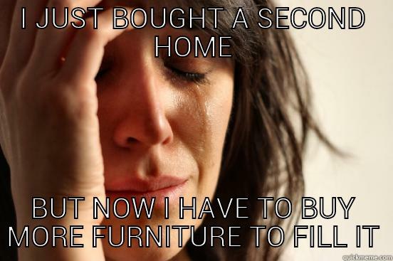 I JUST BOUGHT A SECOND HOME BUT NOW I HAVE TO BUY MORE FURNITURE TO FILL IT First World Problems