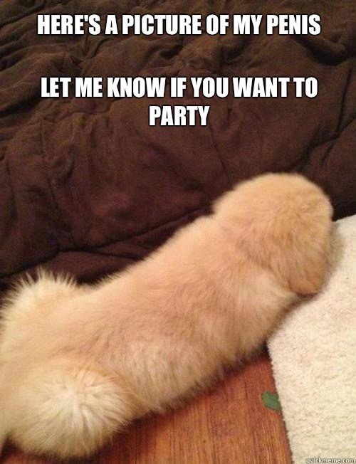 Here's a picture of my penis Let me know if you want to party  