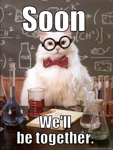 SOON WE'LL BE TOGETHER. Science Cat