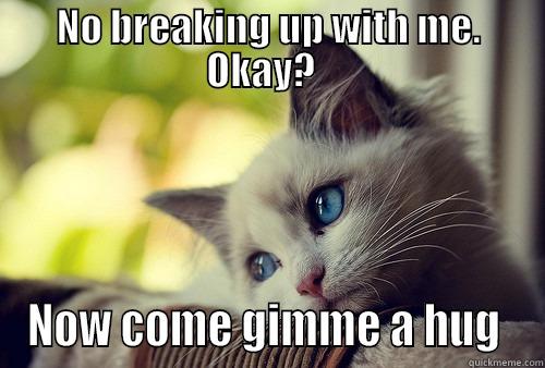 NO BREAKING UP WITH ME. OKAY?   NOW COME GIMME A HUG  First World Problems Cat