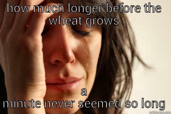 HOW MUCH LONGER BEFORE THE WHEAT GROWS A MINUTE NEVER SEEMED SO LONG First World Problems