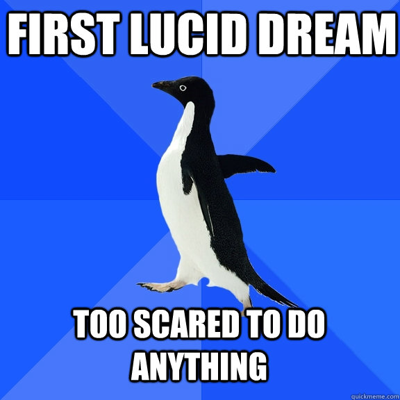 first lucid dream too scared to do anything  Socially Awkward Penguin