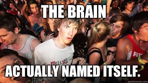 The brain  actually named itself.  Sudden Clarity Clarence