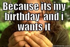 BECAUSE ITS MY BIRTHDAY  AND I WANTS IT  Misc