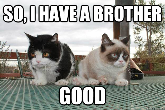 So, i have a brother good  Grumpy Cat Brother